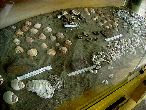 Museu Arqueológico de Peruíbe